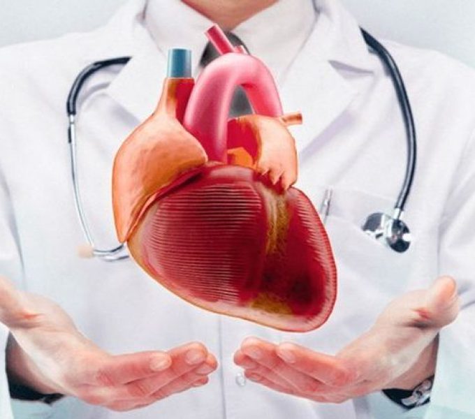 CARDIOLOGO